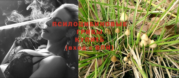 крисы Алзамай