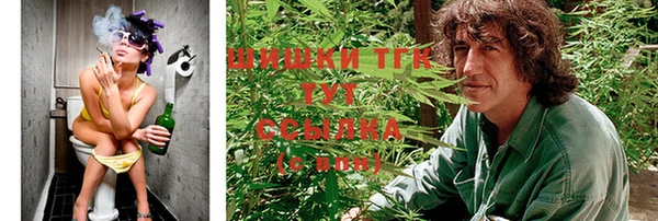 сатива Алексеевка