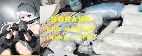 крисы Алзамай
