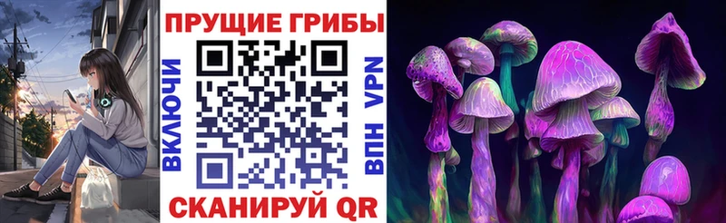 Псилоцибиновые грибы Cubensis  купить  сайты  Жиздра 
